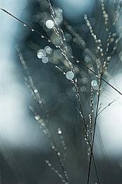 《马里奥赛车：世界》非官方互动地图应用突然下架